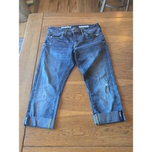 Pilcro Anthropologie Slim Boyfriend Crop Jean Womens Sz 28 Blue Distressed Denim